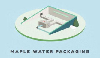 楓樹汁進口全流程指南 從國外貨源到國內市場的關鍵環(huán)節(jié)解析