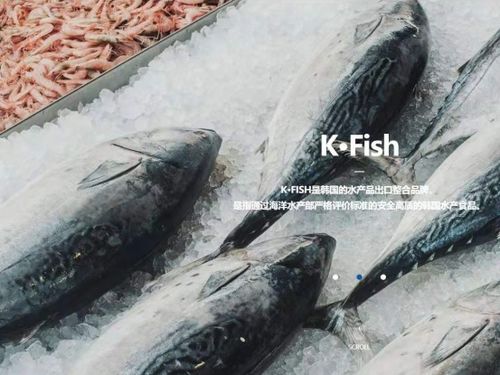 韓國水產協(xié)會上海貿易支援中心舉辦K-Seafood線上采購洽談會，助力國內貿易代理合作